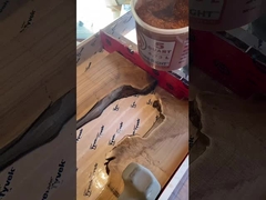 深層 流し 樹脂 で 輝く